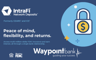 Large depositors: Waypoint Bank is equipped to keep your funds safe and sound